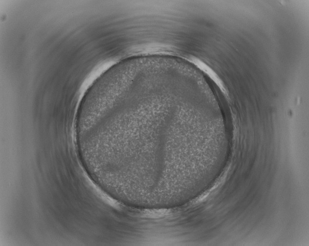 X0000078291285200611251434