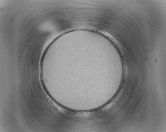 X0000078291286200611251434