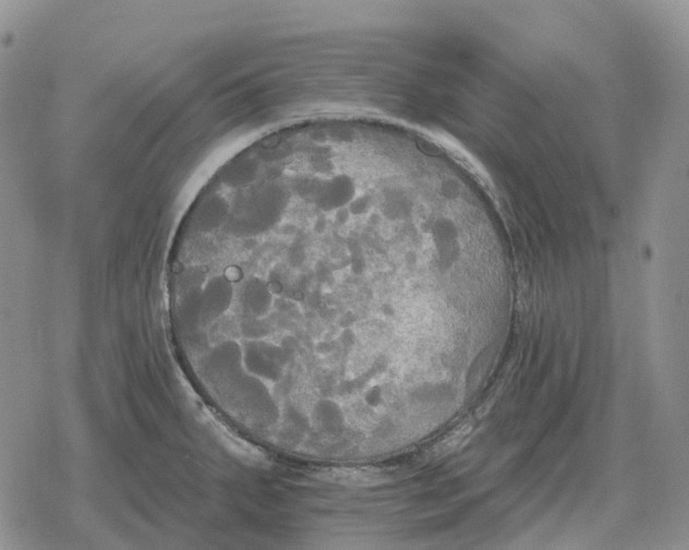 X0000078291287200611251434