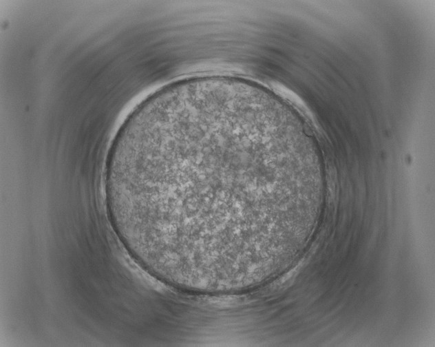 X0000078291288200611251434