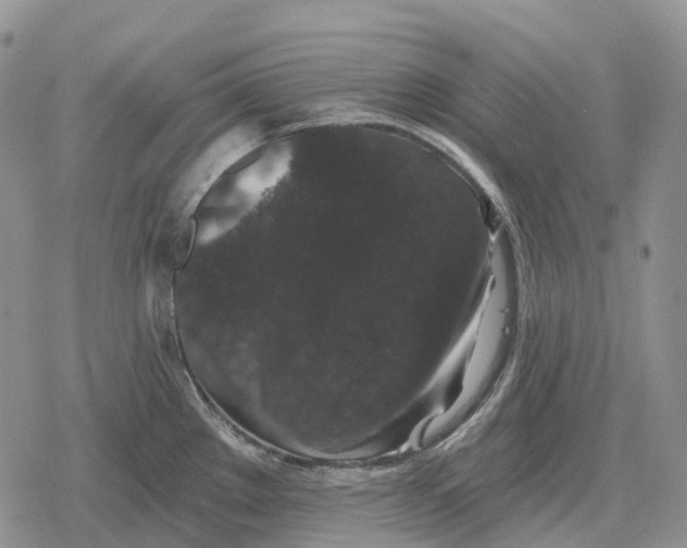 X0000078291289200611251434