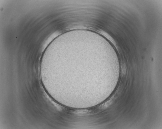 X0000078291290200611251434