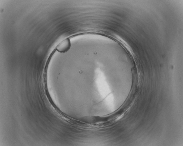 X0000078291291200611251434