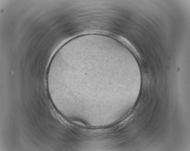 X0000078291292200611251434