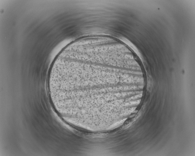 X0000078291293200611251434