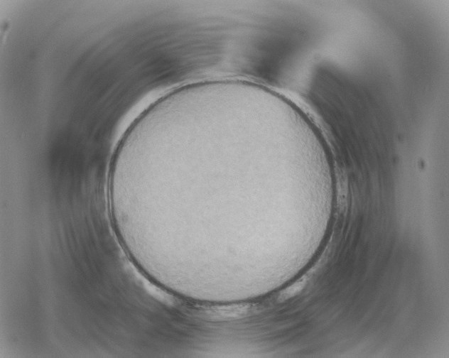 X0000078291294200611251434