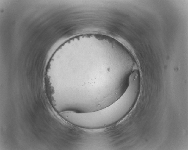 X0000078291296200611251434