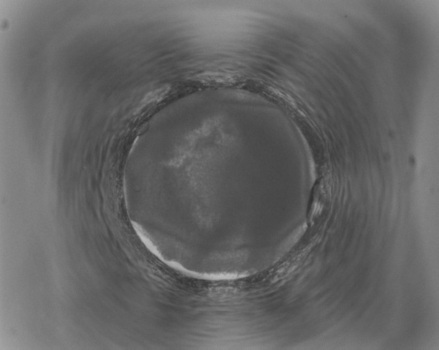 X0000078291297200611251433