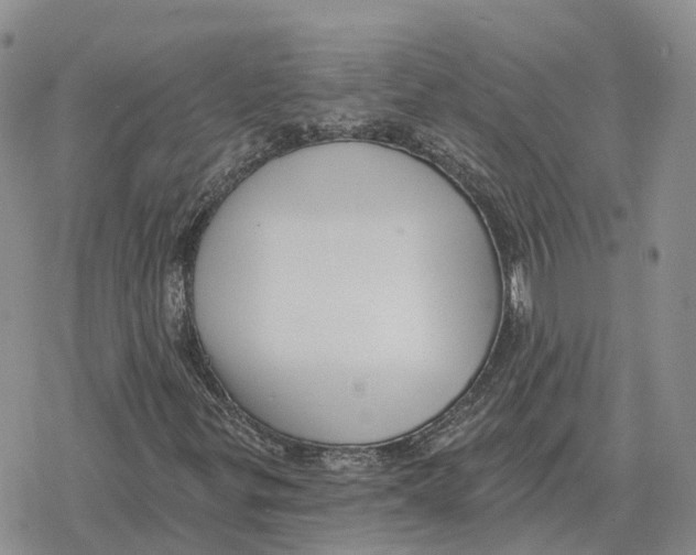 X0000078291299200611251433