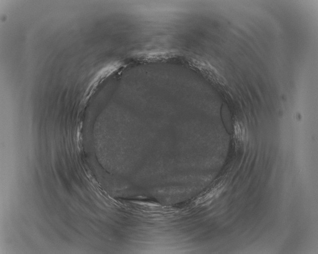 X0000078291300200611251433