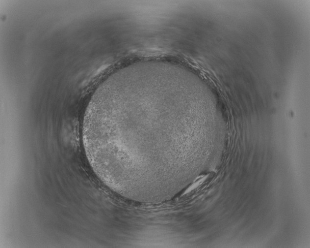 X0000078291301200611251433