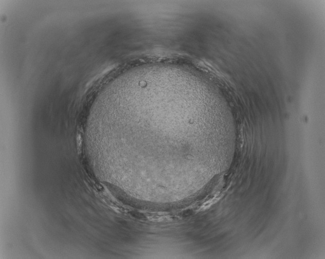 X0000078291302200611251433