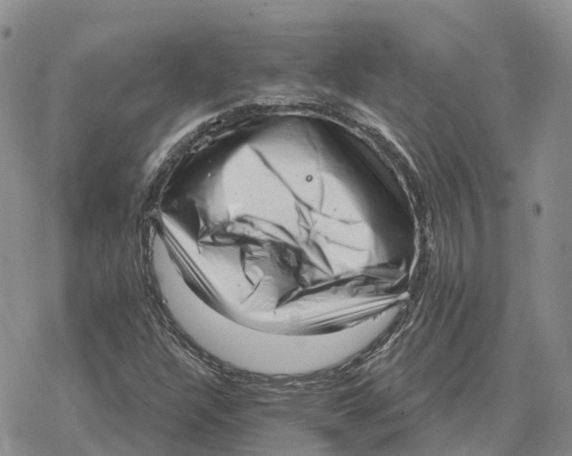 X0000078291304200611251433