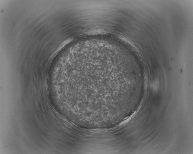 X0000078291305200611251433