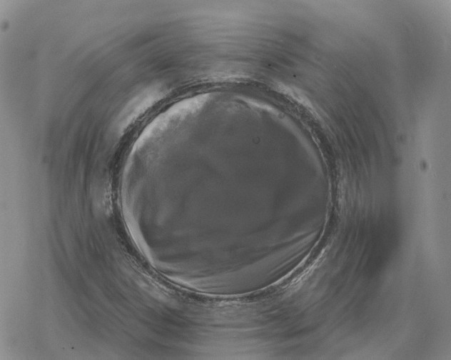 X0000078291306200611251433