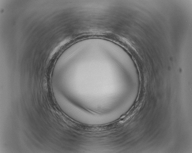 X0000078291307200611251433