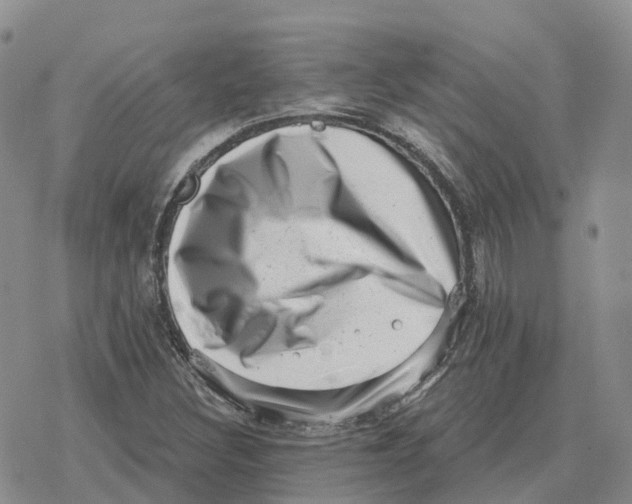 X0000078291308200611251433