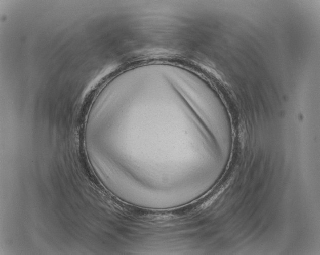 X0000078291309200611251433