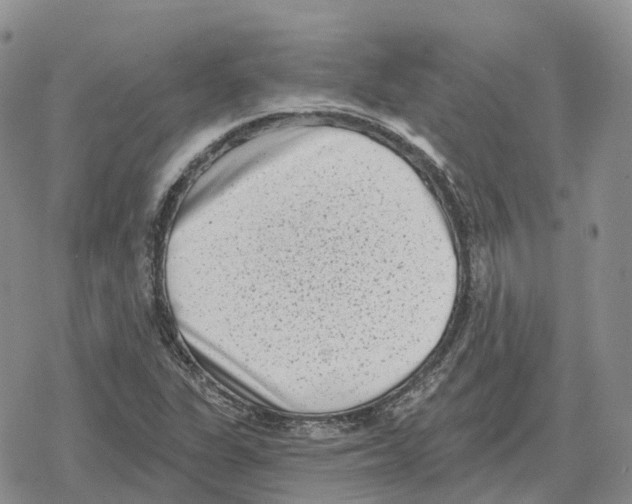 X0000078291311200611251433