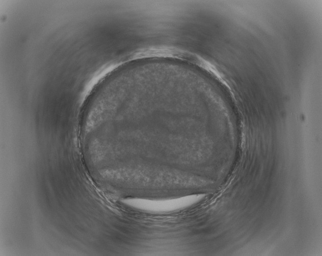 X0000078291312200611251433