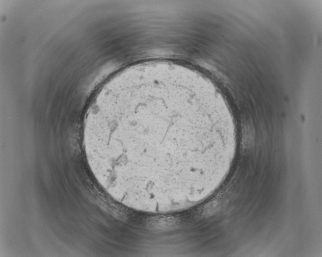 X0000078291314200611251433