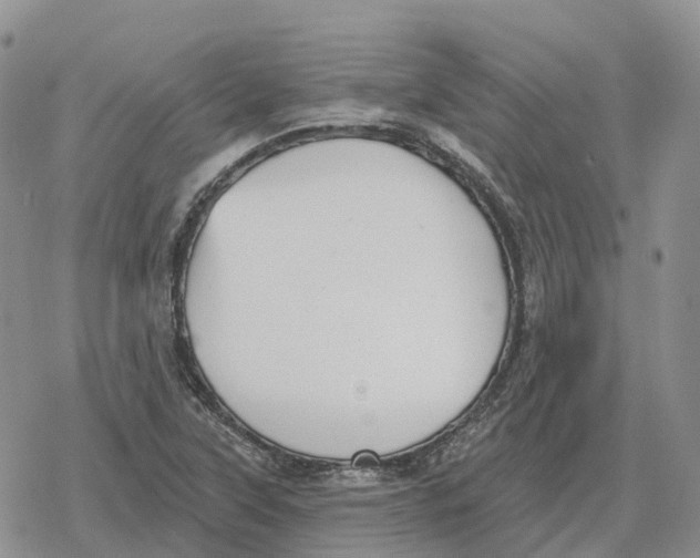 X0000078291315200611251433