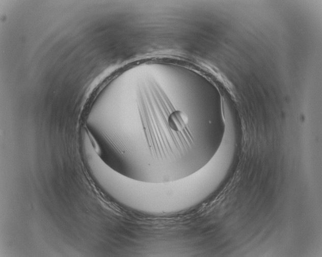 X0000078291316200611251433