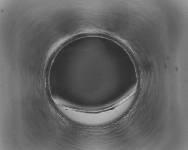 X0000078291319200611251433