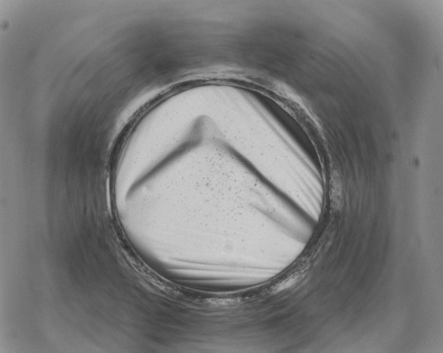 X0000078291320200611251433