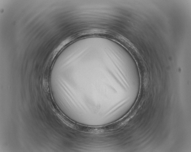 X0000078291321200611251433