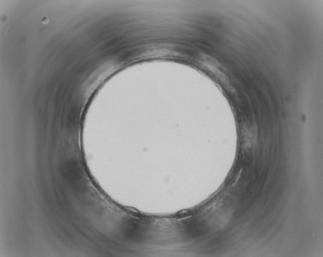 X0000078291322200611251433