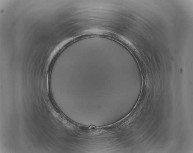 X0000078291323200611251433