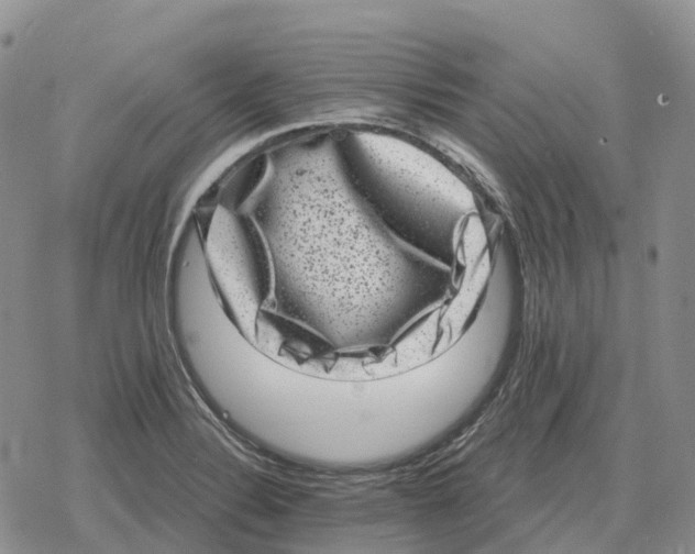 X0000078291324200611251433