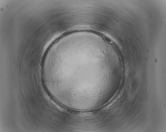 X0000078291325200611251433