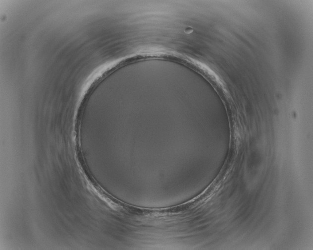 X0000078291327200611251433