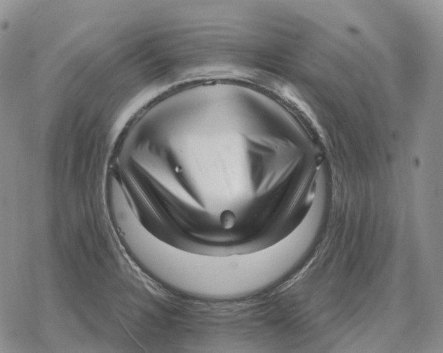 X0000078291328200611251433