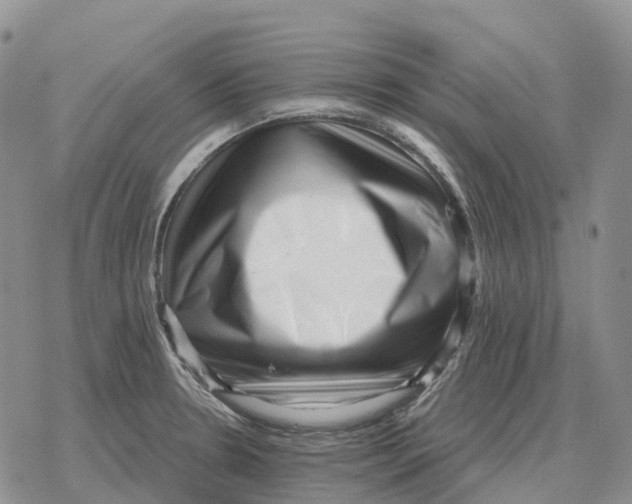 X0000078291330200611251433