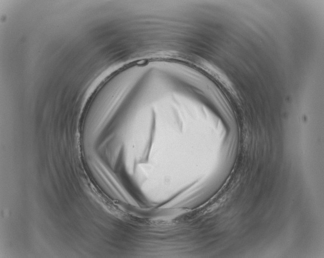 X0000078291332200611251433