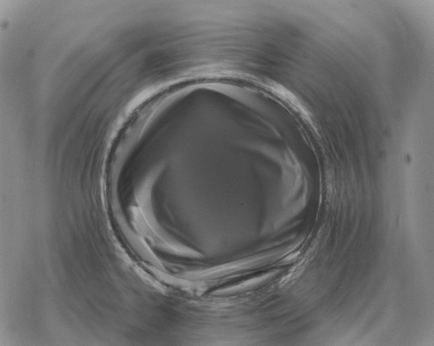 X0000078291334200611251433