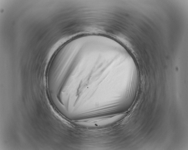 X0000078291335200611251433