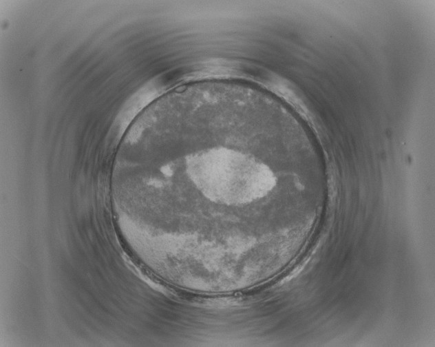 X0000078291337200611251433