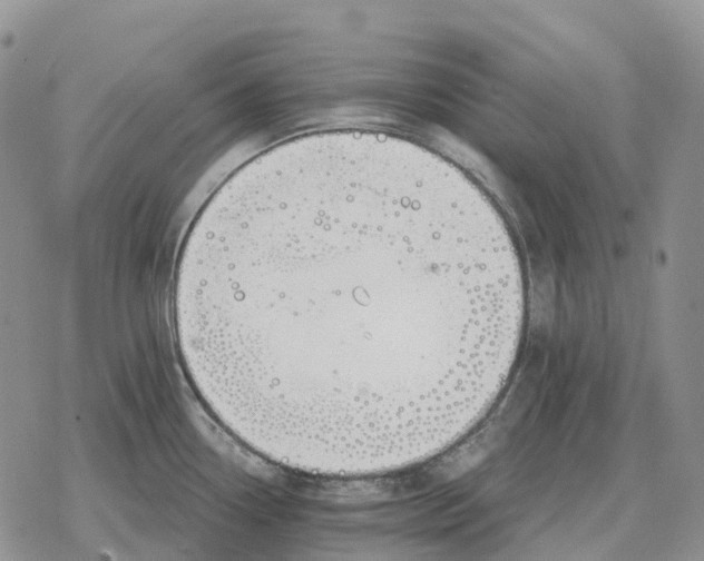 X0000078291338200611251433