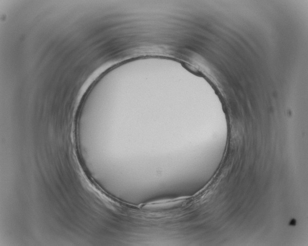 X0000078291339200611251433