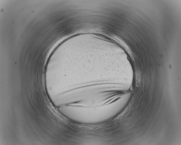 X0000078291340200611251434