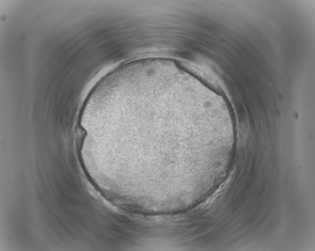 X0000078291341200611251434