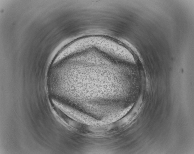 X0000078291342200611251434