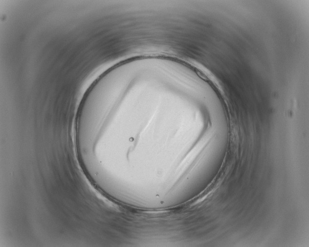 X0000078291343200611251434