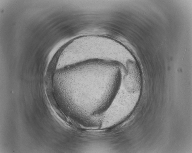 X0000078291344200611251434