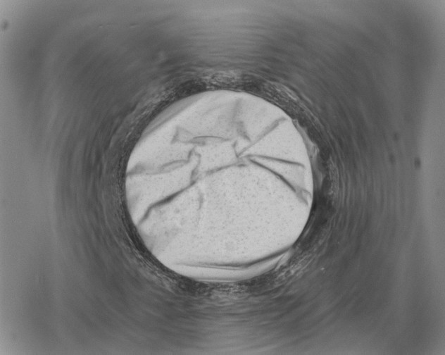 X0000078291345200611251433