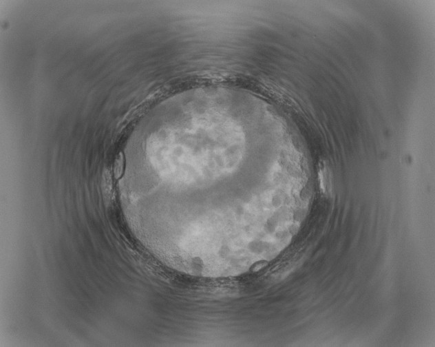 X0000078291347200611251433